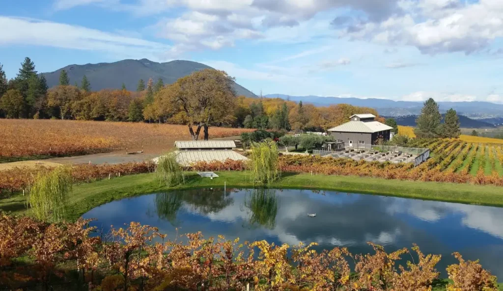 A scenic view of Boatique Winery surrounded by autumn vineyards and a reflecting pond with mountains in the background