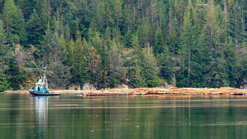 Bass Lake with a boat
